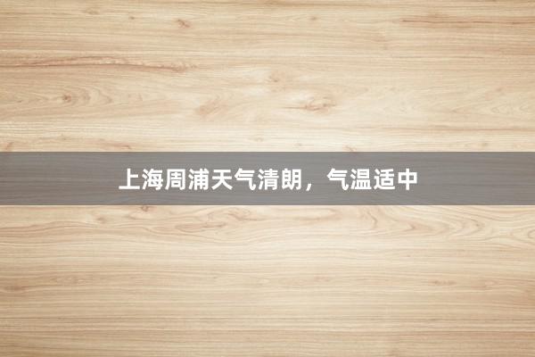 上海周浦天气清朗，气温适中