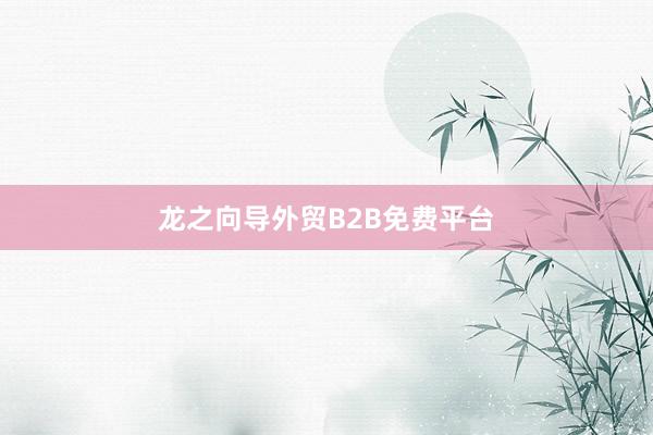 龙之向导外贸B2B免费平台
